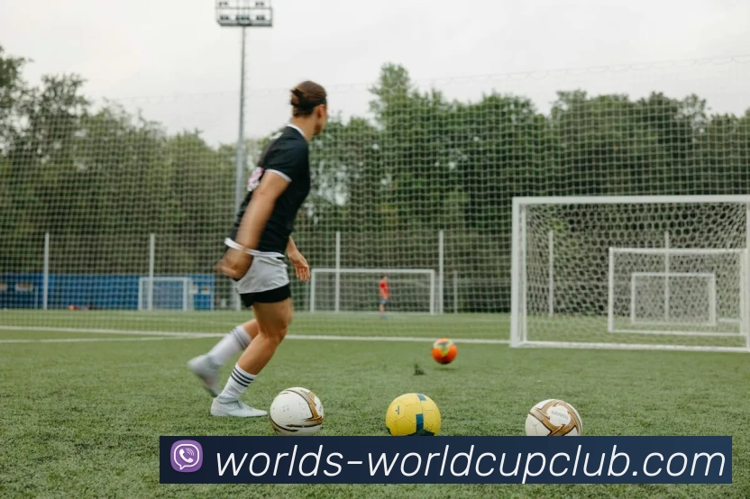 App Interface Preview